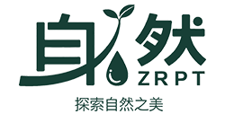 Zrpt-自然 Logo